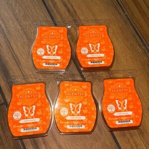 Scentsy “FEELIN PUNCHY” Wax Bar Melt LOT OF 5 ship w ice pack